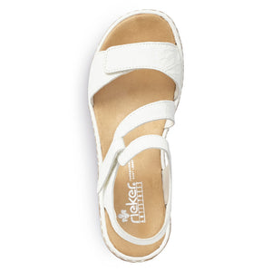 Regina 659C7